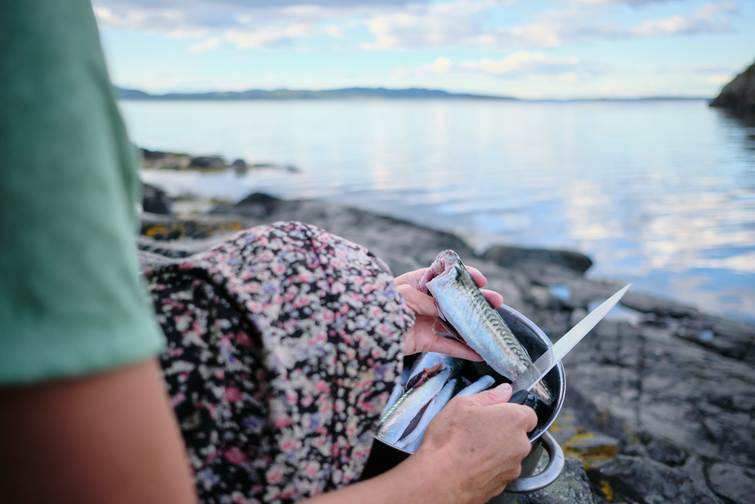 Nytt i Kystled Oslofjorden 2023