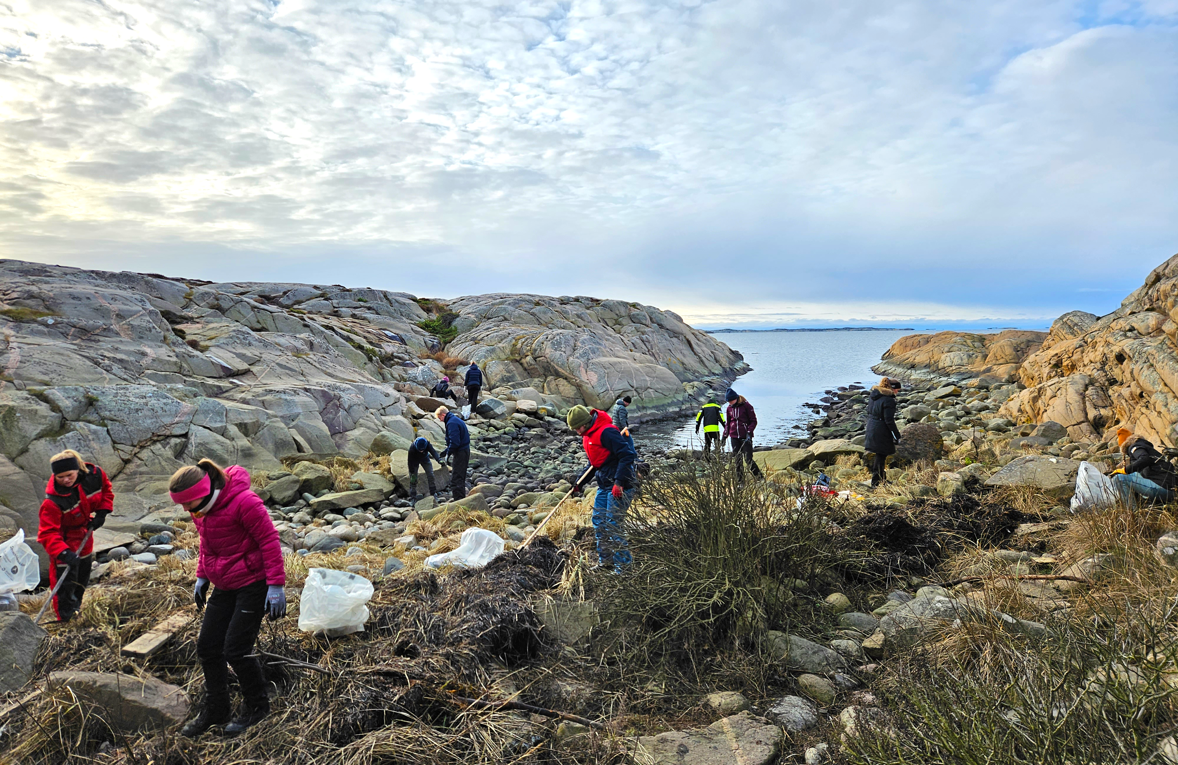 Strandrydding Oslofjorden