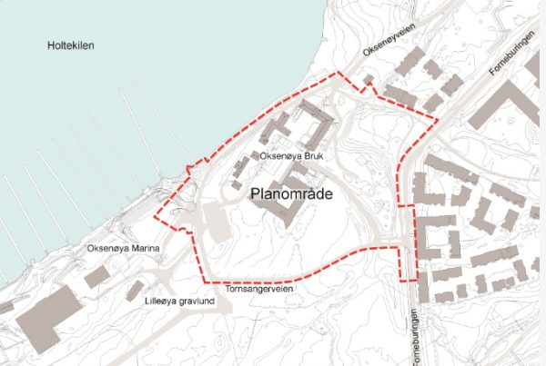 Hensikten med planen er å tilrettelegge for nye boliger og leilighetsbygninger i 2 til 5 etasjer, og bl.a. næring og tjenesteyting i eksisterende bevaringsverdige (Sefrak) bygninger. I tillegg planlegges det for oppgradering av turvei, sikring, og re-vegetering av grønnstruktur og naturmangfold.