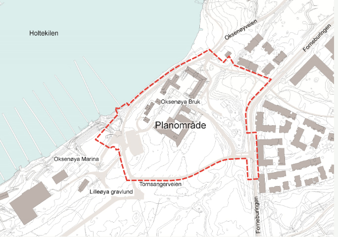 Hensikten med planen er å tilrettelegge for nye boliger og leilighetsbygninger i 2 til 5 etasjer, og bl.a. næring og tjenesteyting i eksisterende bevaringsverdige (Sefrak) bygninger. I tillegg planlegges det for oppgradering av turvei, sikring, og re-vegetering av grønnstruktur og naturmangfold.