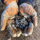 Plastpelleter holdes opp