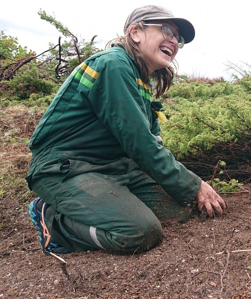 Kulturlandskapsskolen2