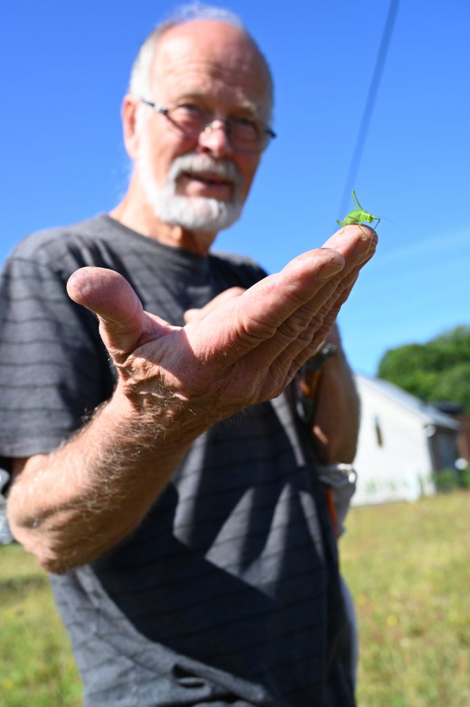 Molokka-slatt-2022-Kulturlandskapsskolen--OSF-09082-Foto_Kjetil_Johannessen