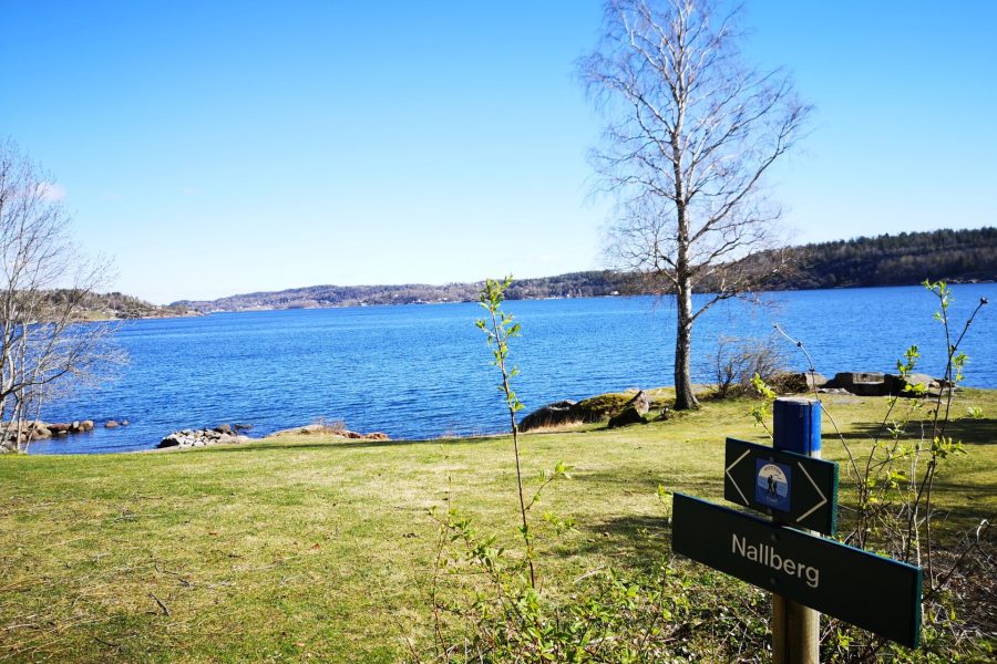 Kyststi ved Bogen
