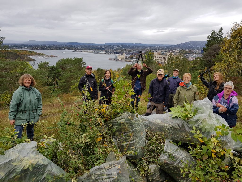 Ekebergskråningen_04_1