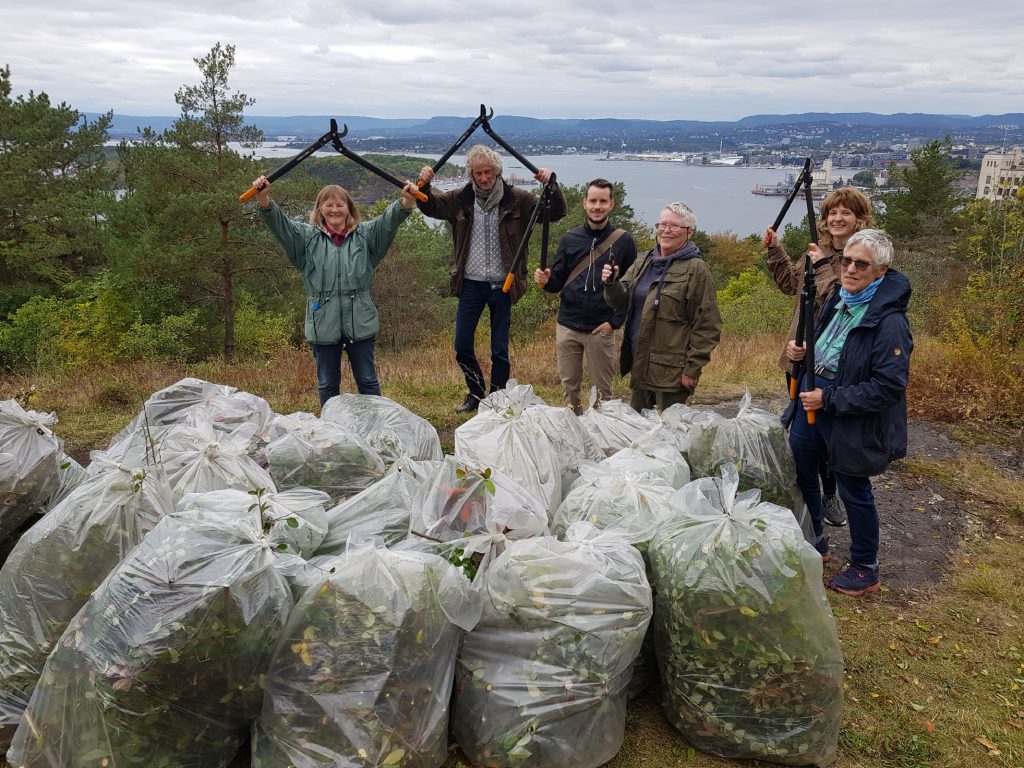 Ekebergskråningen_05_1 Ekebergskråningen