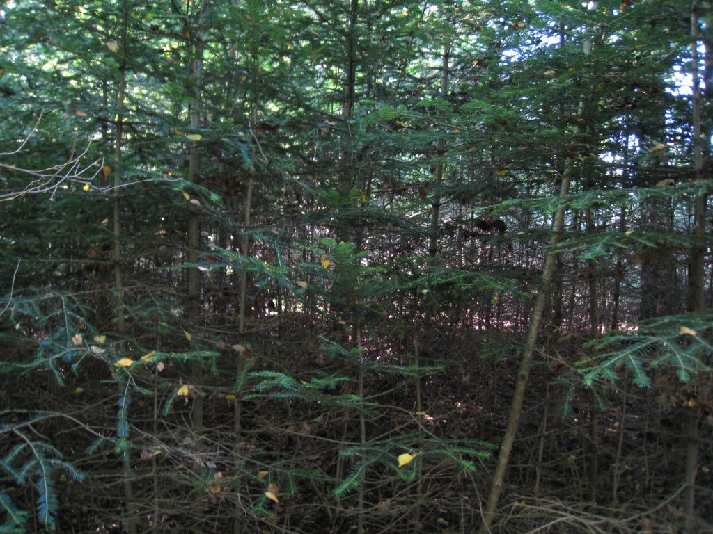 Løkenes, Asker _02 Løkenes, Asker