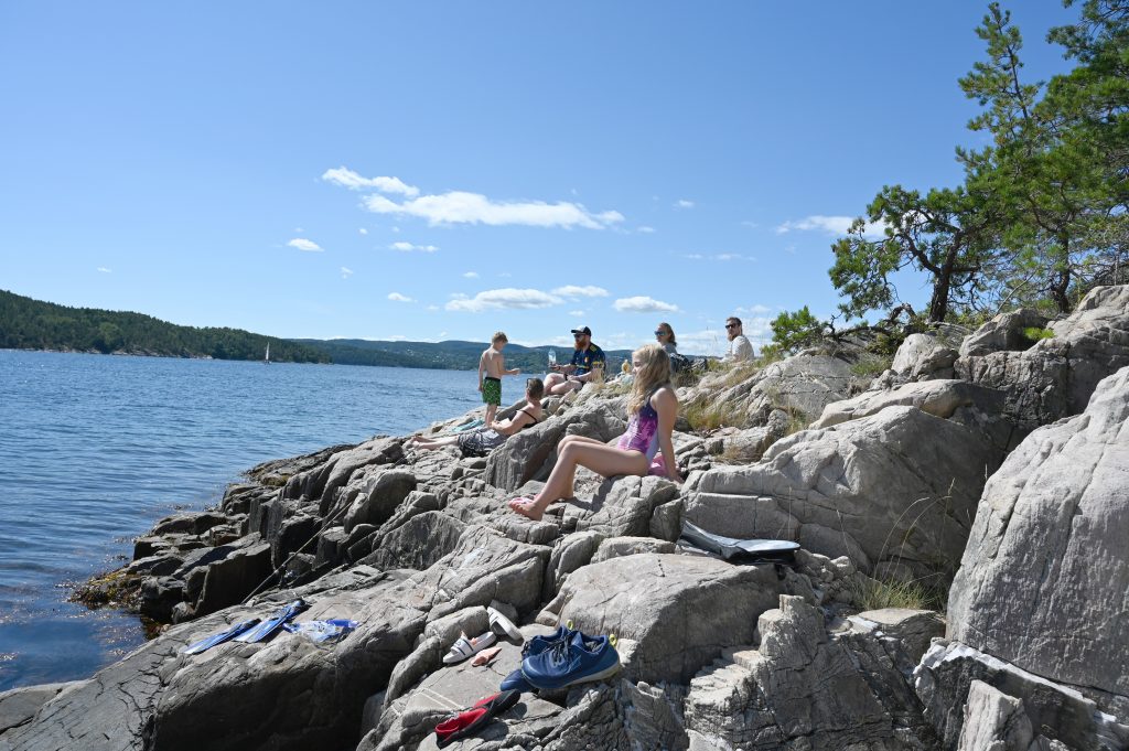 Sørspissen av Lågøya