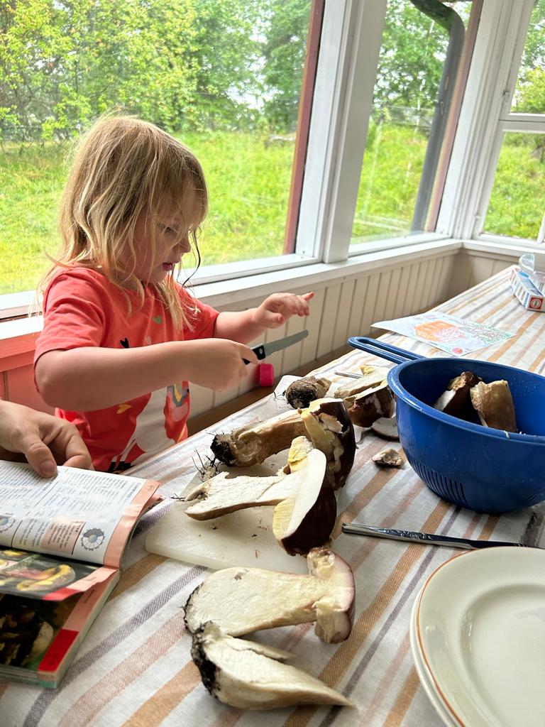 En jente sitter på en glassveranda og renser sopp. På bordet ligger flere sopper og en soppbok.