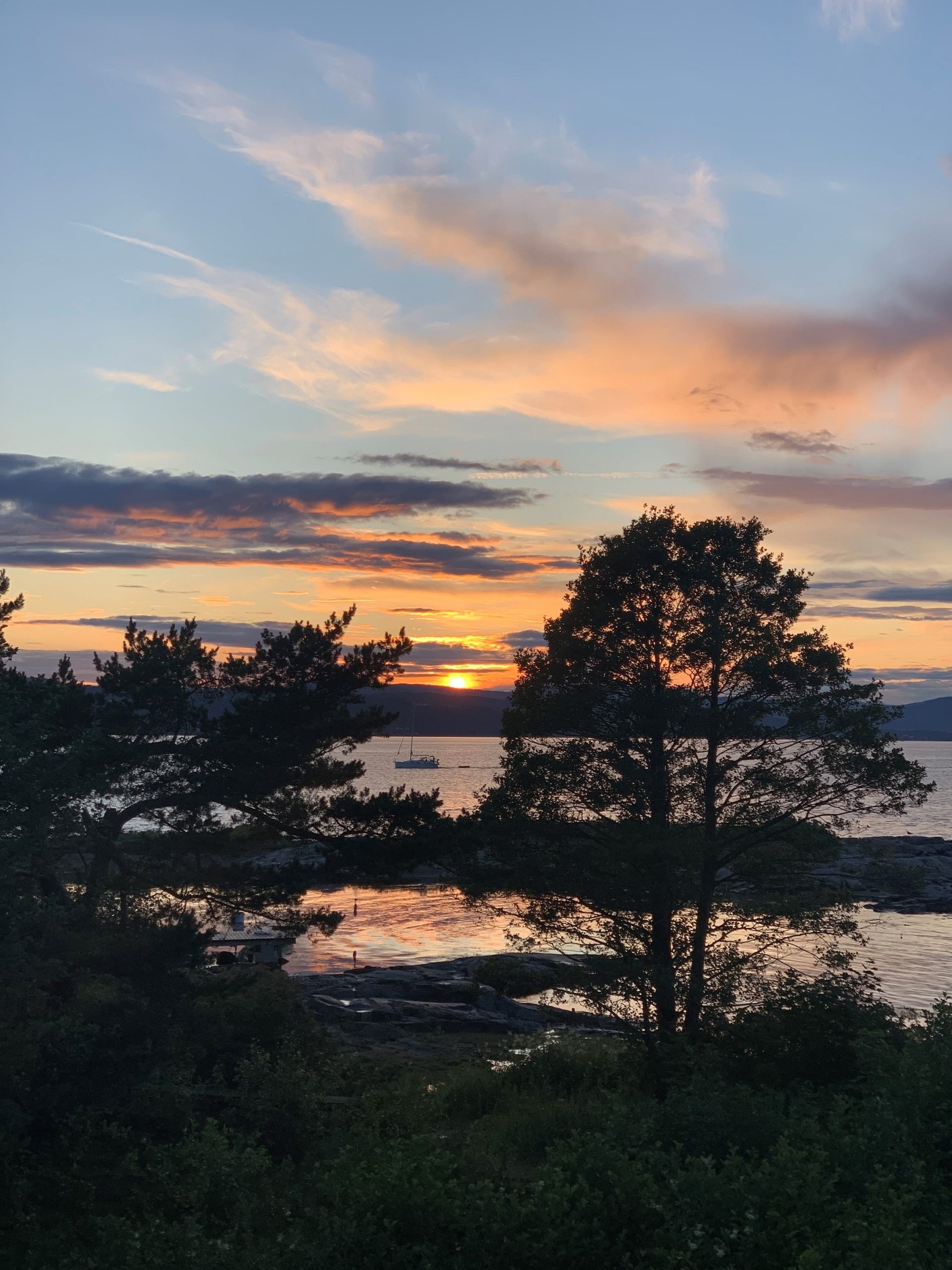 Lågøya: Mye aktivitet og mange besøk - Oslofjordens Friluftsråd