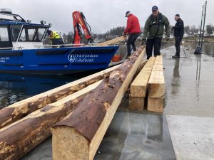 På dette bildet ser man store tømmerstokker som ligger på en brygge. Inntil brygga er det en båt, og fire menn er opptatt med å få flere stokker av båten.