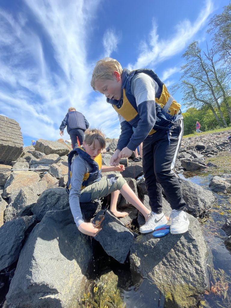 En gutt sitter på en stein i fjæra, og en annen gutt stor ved siden av ham. Gutten som sitter, holder en liten strandkrabbe i hånda. Gutten som står holder i et krabbesnøre.