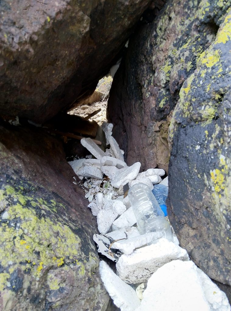 Rydding_pa_Sosteroyene_mars_2020_OF_og_SGT_Fredrikstad_OSF_05804_1920_Foto_Anne_Christine__Nass