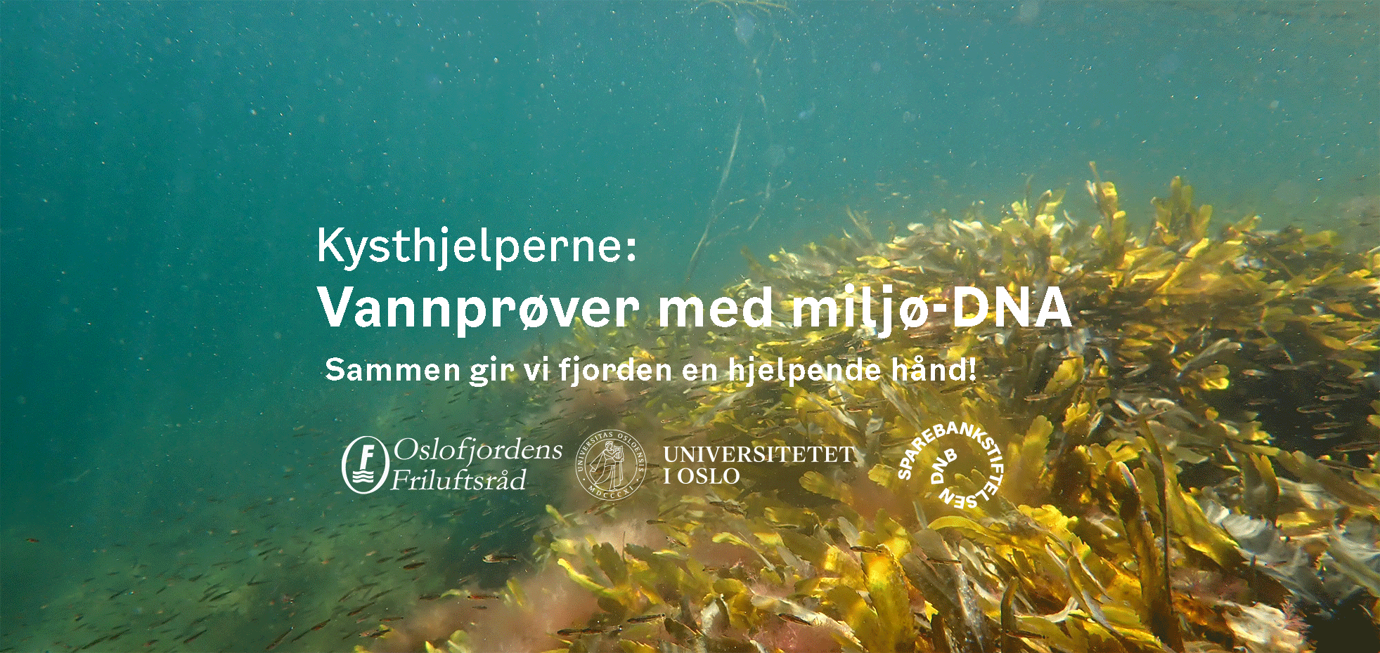 Hjelp oss å samle inn vannprøver