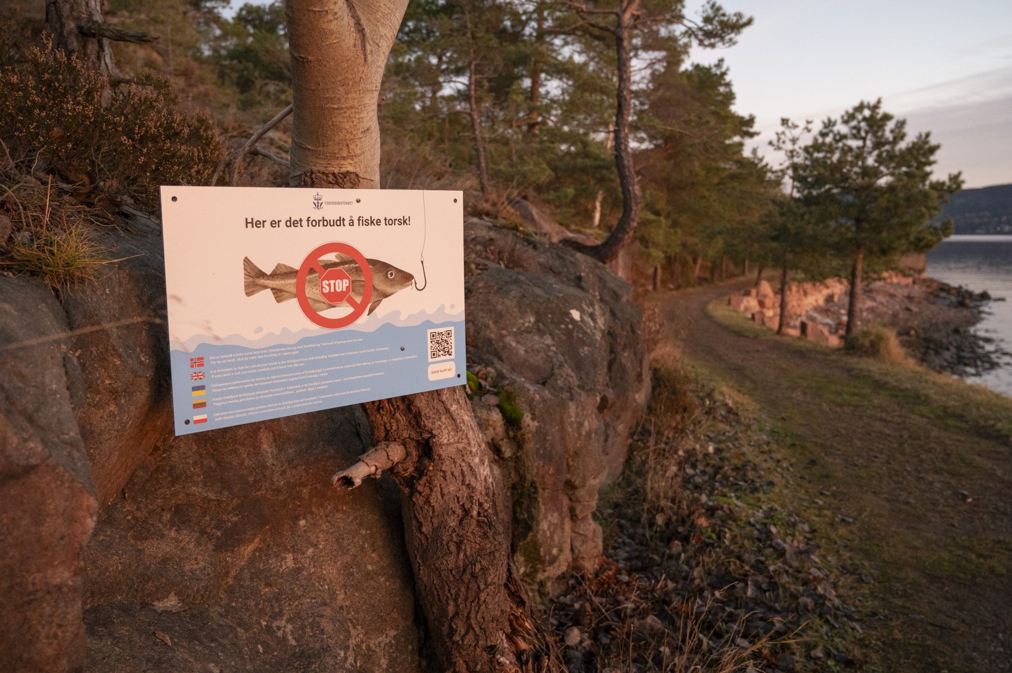 Dette er høringsforslaget til nye fiskeritiltak i Oslofjorden