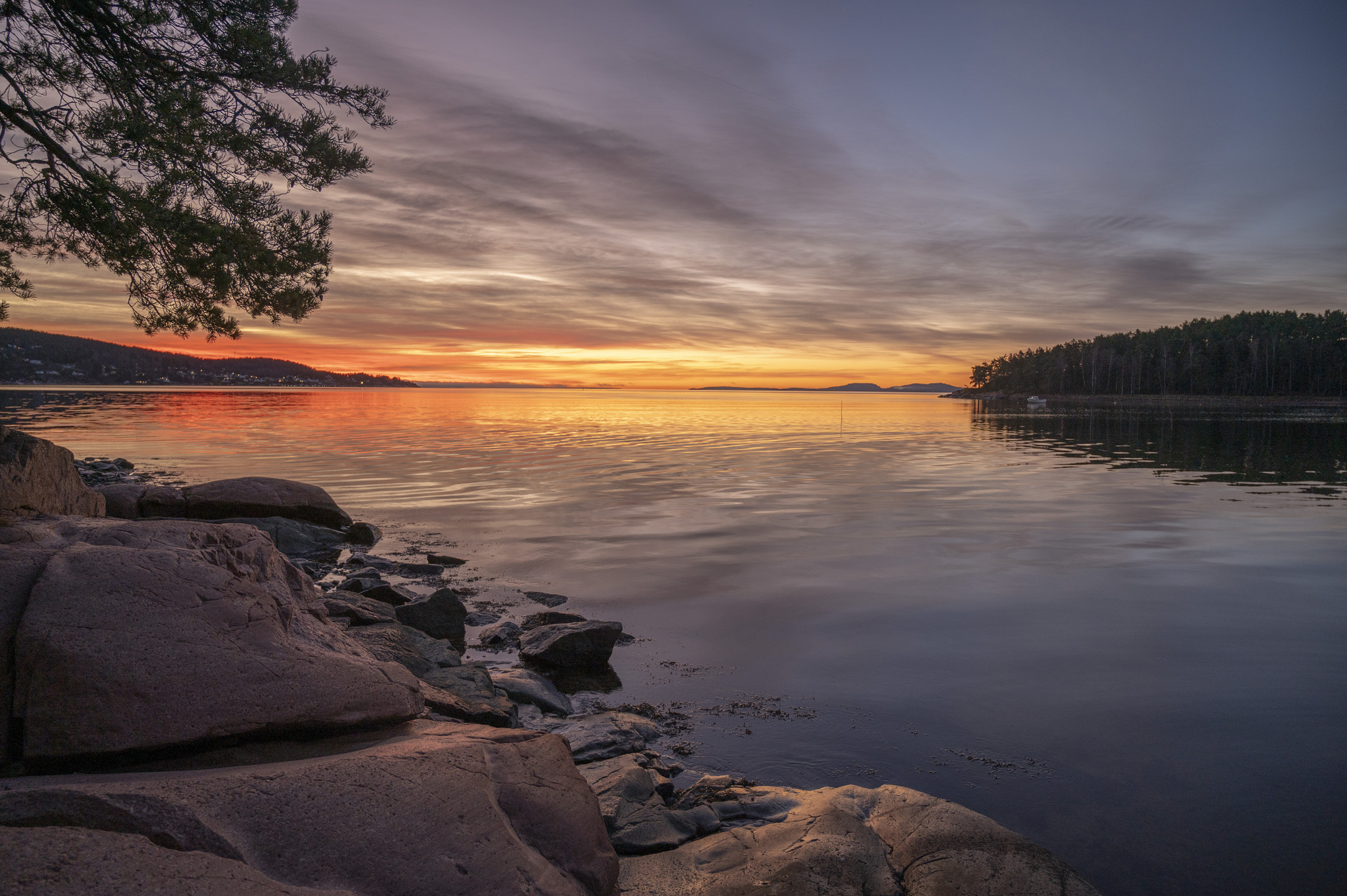 Hvem har ansvar for å redde Oslofjorden?
